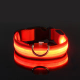 LED Light-Up Dog Leash – Night Safety Nylon Fluorescent Pet Dog Collar