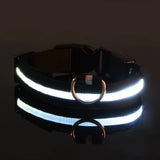 LED Light-Up Dog Leash – Night Safety Nylon Fluorescent Pet Dog Collar