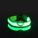 LED Light-Up Dog Leash – Night Safety Nylon Fluorescent Pet Dog Collar