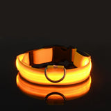 LED Light-Up Dog Leash – Night Safety Nylon Fluorescent Pet Dog Collar