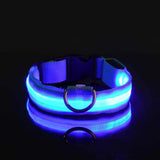 LED Light-Up Dog Leash – Night Safety Nylon Fluorescent Pet Dog Collar