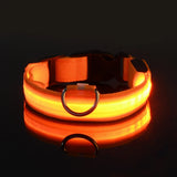 LED Light-Up Dog Leash – Night Safety Nylon Fluorescent Pet Dog Collar