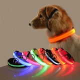 LED Light-Up Dog Leash – Night Safety Nylon Fluorescent Pet Dog Collar