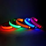 LED Light-Up Dog Leash – Night Safety Nylon Fluorescent Pet Dog Collar