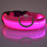 LED Light-Up Dog Leash – Night Safety Nylon Fluorescent Pet Dog Collar
