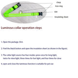 LED Light-Up Dog Leash – Night Safety Nylon Fluorescent Pet Dog Collar