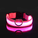 LED Light-Up Dog Leash – Night Safety Nylon Fluorescent Pet Dog Collar