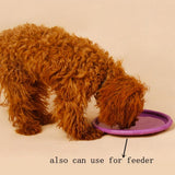 Dog Flying Disc Toy | Soft Rubber Interactive Flying Saucer