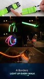 LED Light-Up Dog Leash – Night Safety Nylon Fluorescent Pet Dog Collar